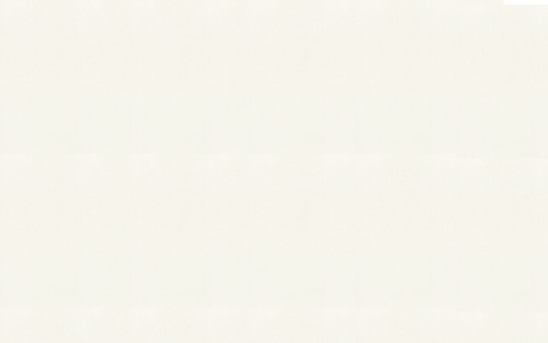 Papier peint vinyle DIAMOND SKIN coloris blanc