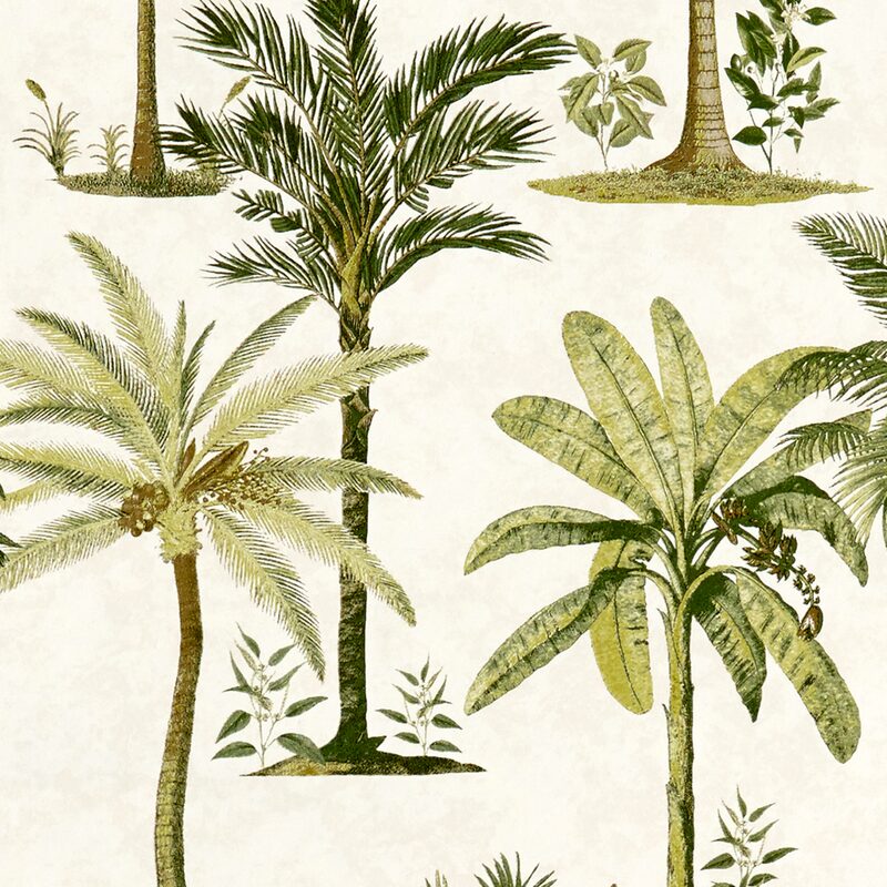 Papier peint intissé PALMERAIE coloris écru