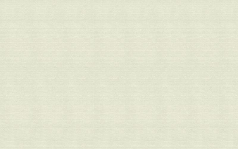 Papier peint intissé PAILLE BY SOPHIE FERJANI coloris beige