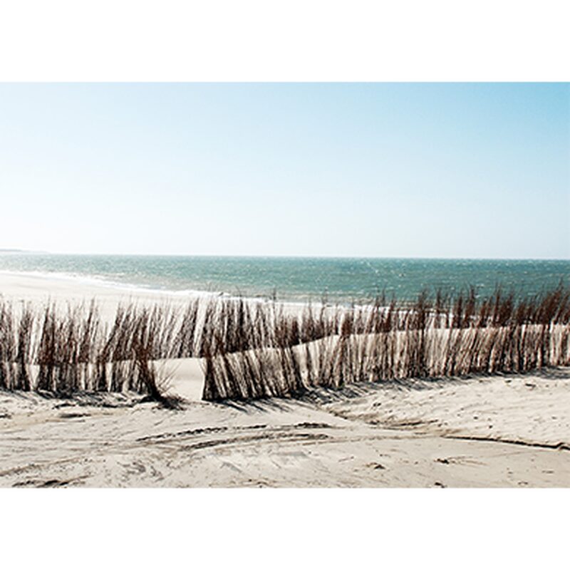 Toile imprimée DUNES 70 x 50 cm