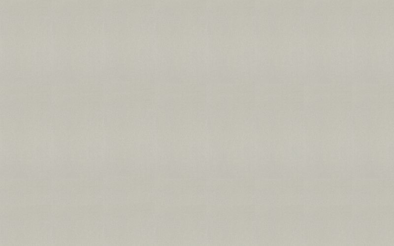 Papier peint intissé COSY coloris argent