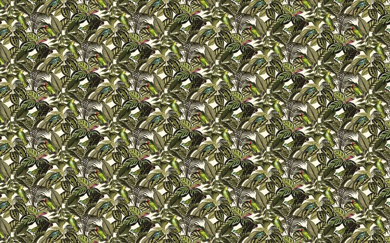 Papier peint intissé EXOTIC MOOD coloris vert mousse