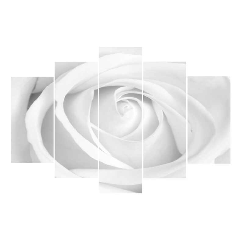 Set de toiles WHITE ROSE 150 x 100 cm