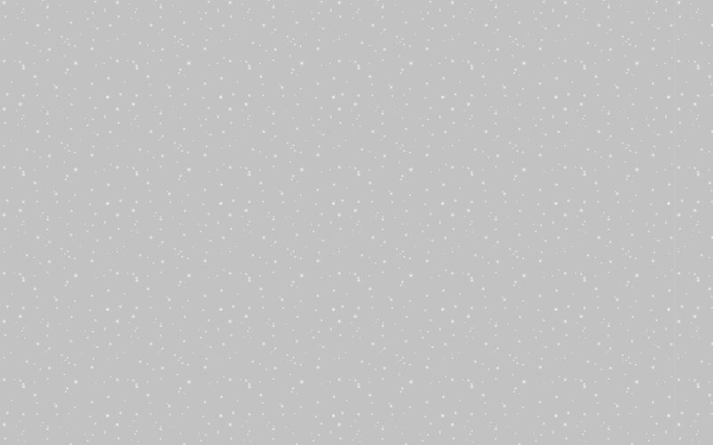 Peinture Décorative POUSSIÈRE D'ÉTOILES Acrylique altair Mat 2 L