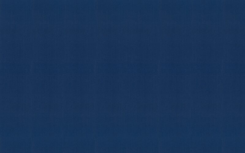 Papier peint intissé FLORENTINE coloris bleu marine