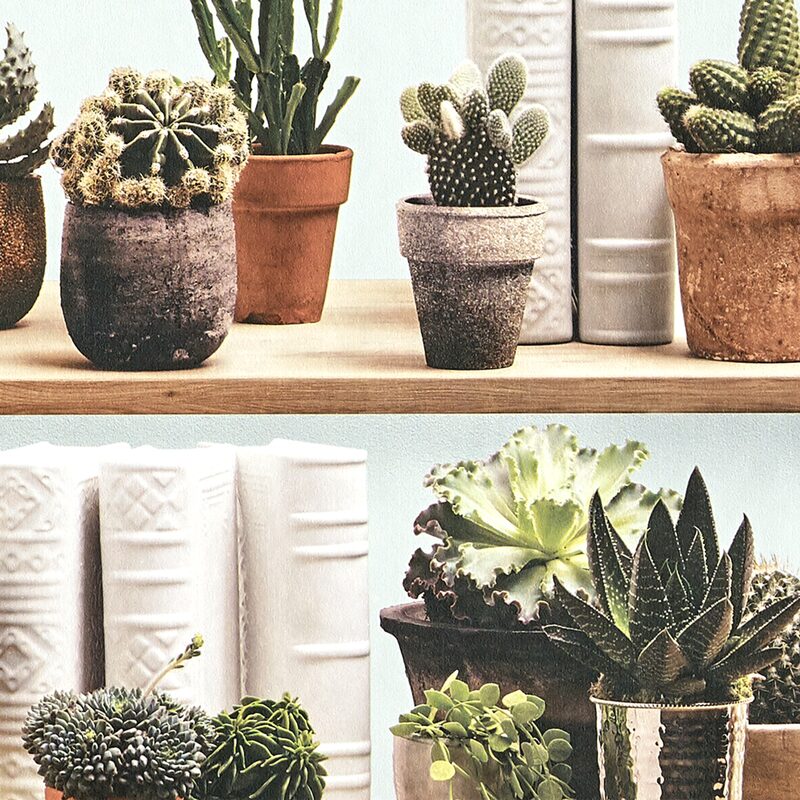 Papier peint intissé ÉTAGÈRE CACTUS BY KOZIEL coloris vert feuille