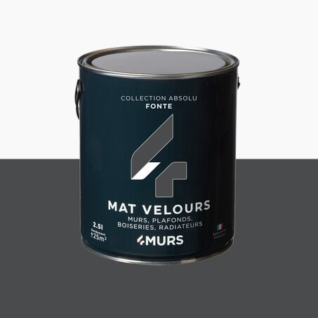 Peinture Multi-supports ABSOLU fonte Mat 2,5 L