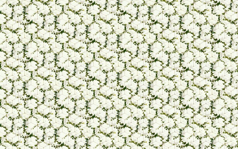 Papier peint intissé JEUX DE LIERRE BY KOZIEL coloris blanc