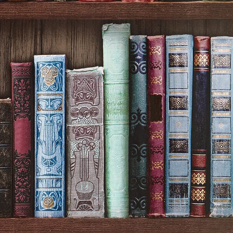 Papier peint BIBLIOTHÈQUE ANATOLE coloris multicolore
