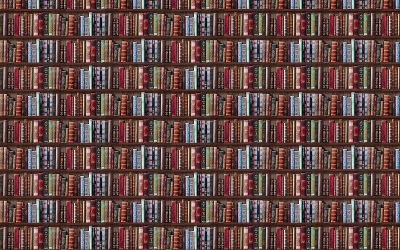 Papier peint BIBLIOTHÈQUE ANATOLE coloris multicolore