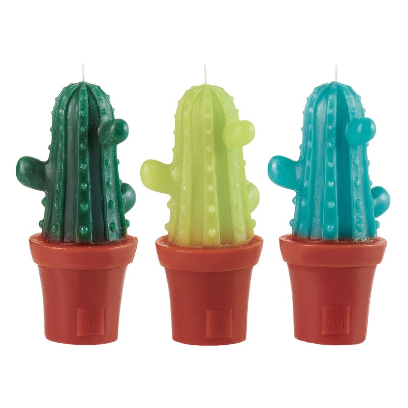 Bougie CACTUS BRANCHÉS x3