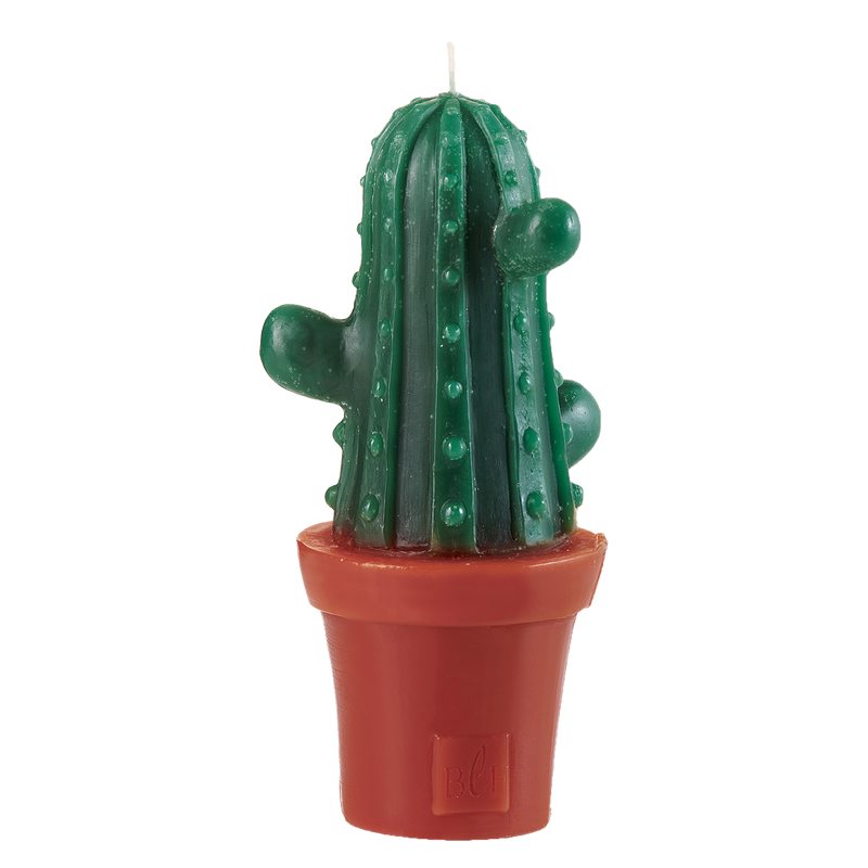 Bougie CACTUS BRANCHÉS x3