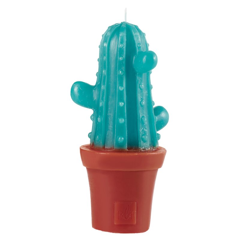 Bougie CACTUS BRANCHÉS x3