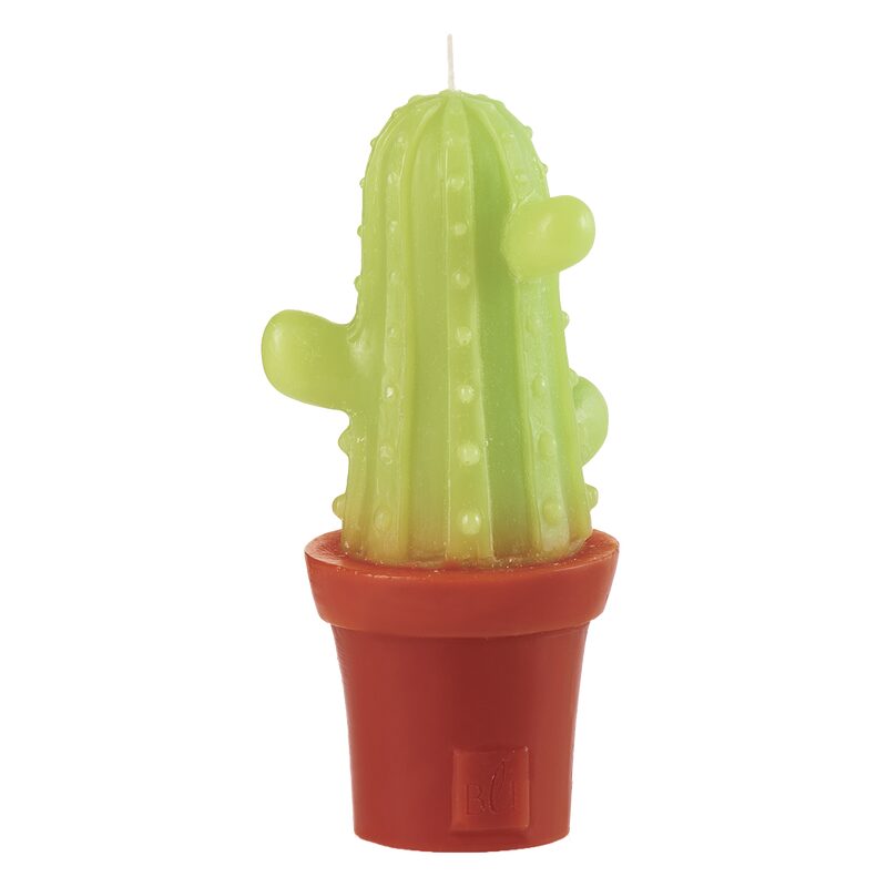 Bougie CACTUS BRANCHÉS x3