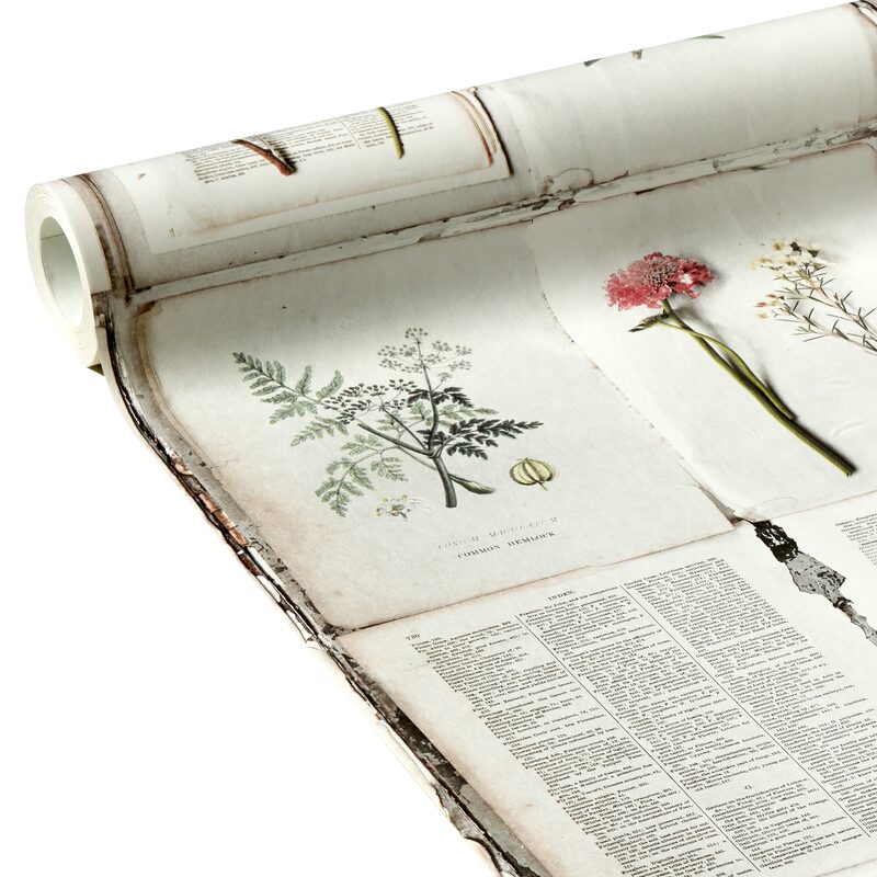 Papier peint intissé HERBIER coloris blanc