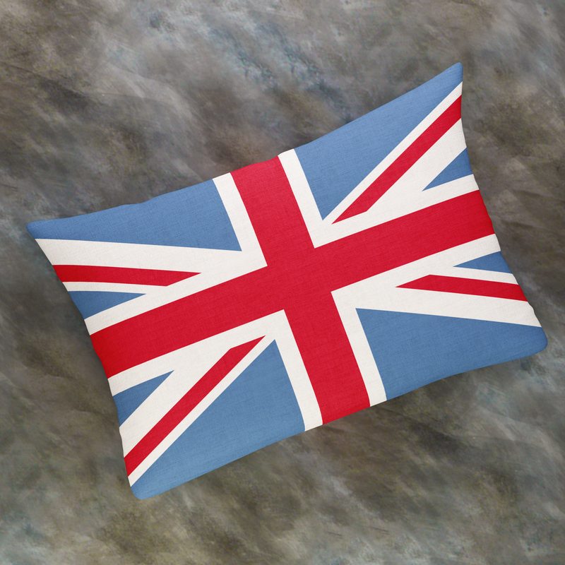 Coussin FLAG STARS coloris bleu 30 x 45 cm