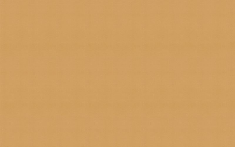 Papier peint intissé LAZY BY E. RIVASSOUX coloris caramel