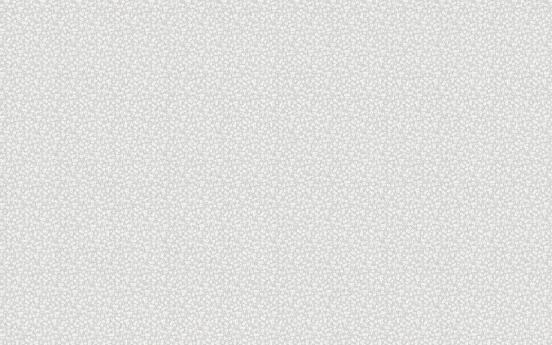 Papier peint intissé YOSHIMI coloris gris perle