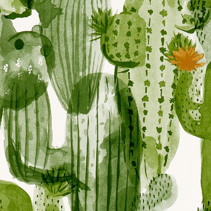 Papier peint intissé WILD CACTUS coloris blanc