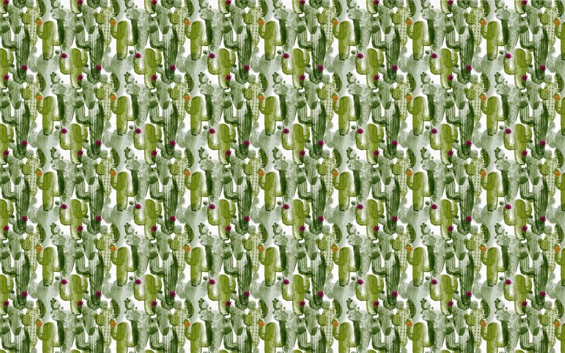 Papier peint intissé WILD CACTUS coloris blanc