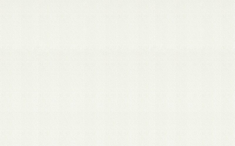 Papier peint intissé CACTUS DROP coloris blanc