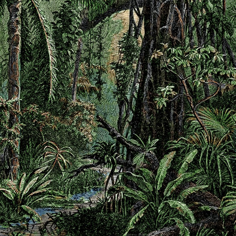 Papier peint panoramique L FORET AMAZONIENNE 150 x 275 cm