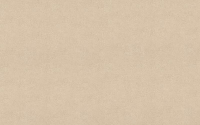 Papier peint intissé NEW SKIN coloris brun