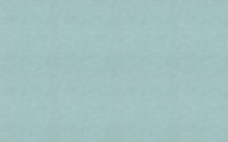 Papier peint intissé NEW SKIN coloris bleu grisé