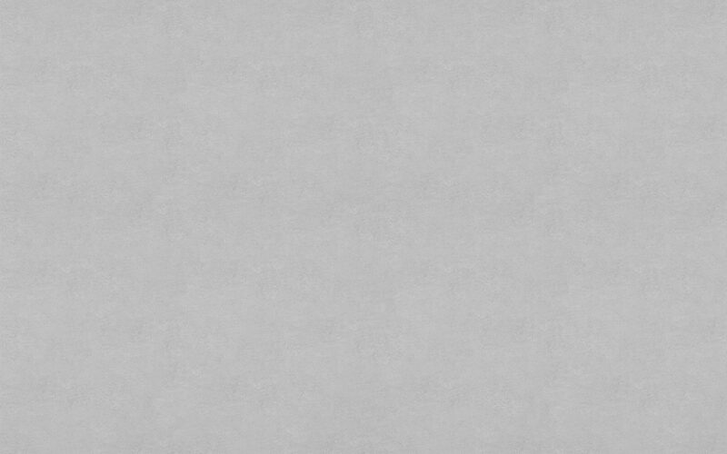 Papier peint intissé NEW SKIN coloris gris éléphant