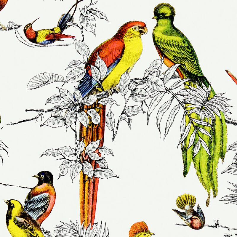 Papier peint intissé AVICELLUS EXOTICUS coloris multicolore
