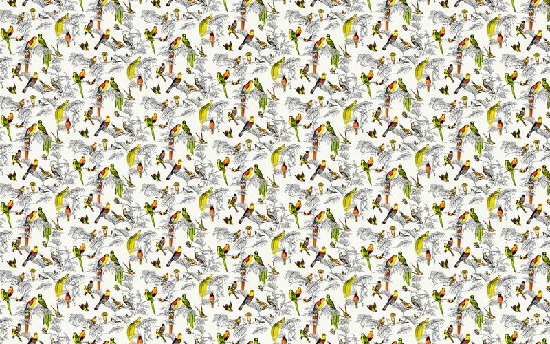 Papier peint intissé AVICELLUS EXOTICUS coloris multicolore