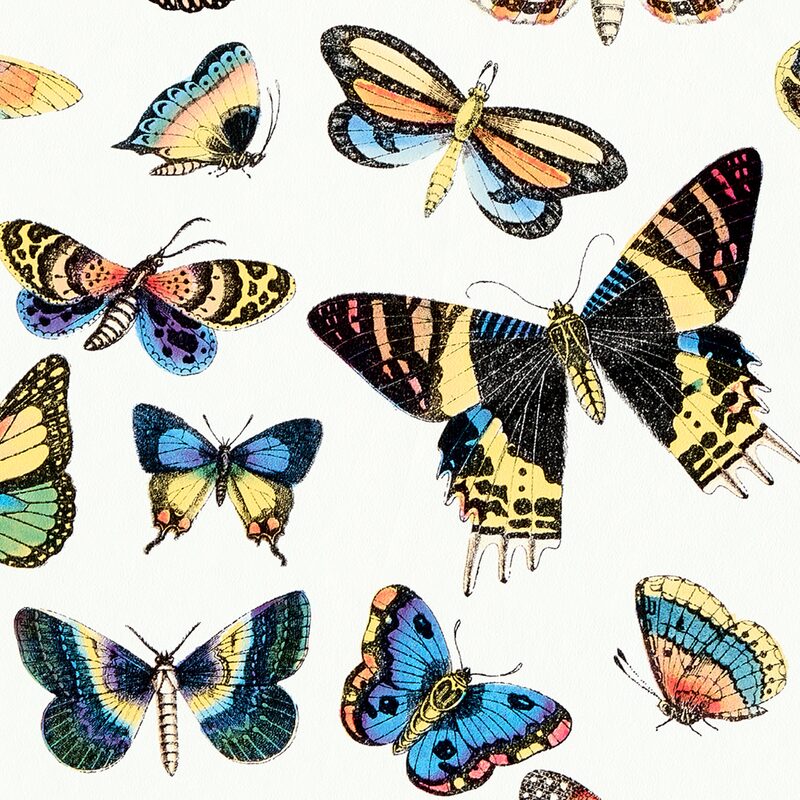 Papier peint intissé HISTORIAE NATURALIS coloris blanc
