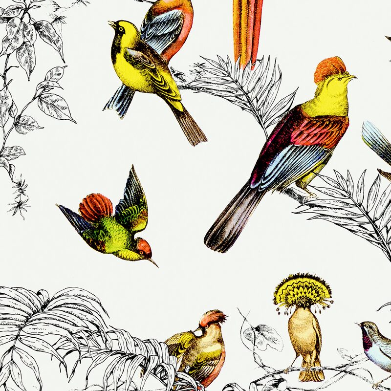Papier peint intissé AVICELLUS EXOTICUS coloris multicolore