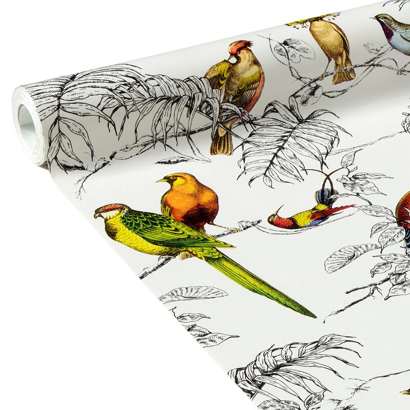 Papier peint intissé AVICELLUS EXOTICUS coloris multicolore