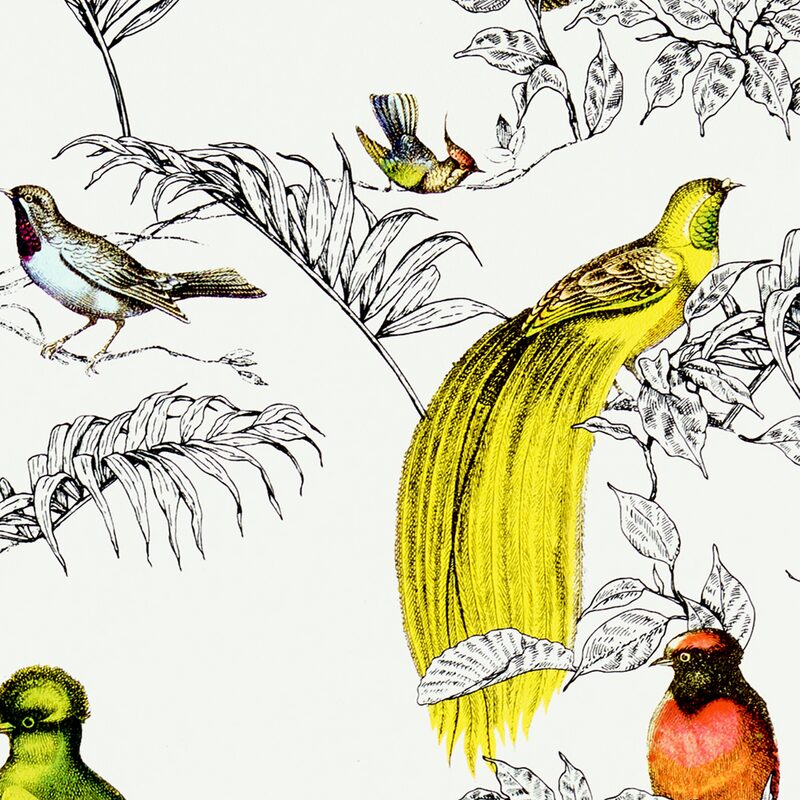 Papier peint intissé AVICELLUS EXOTICUS coloris multicolore