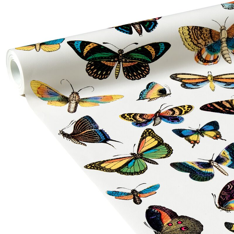 Papier peint intissé HISTORIAE NATURALIS coloris blanc