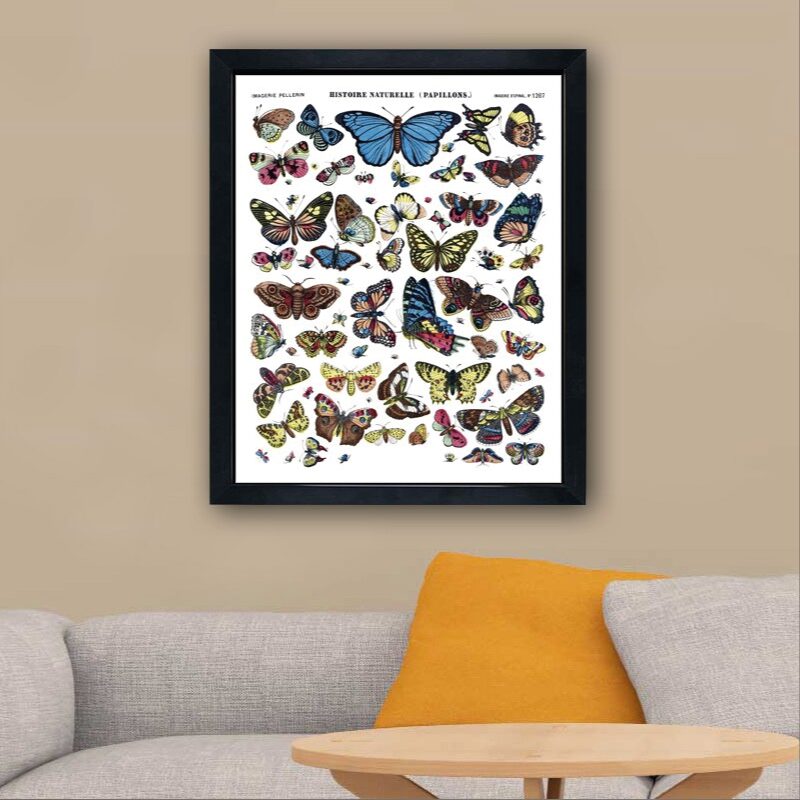 Affiche PAPILLONS 40 x 50 cm