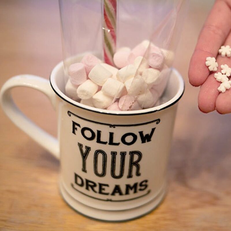 Mug FOLLOW YOUR DREAMS coloris blanc