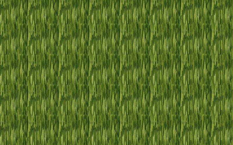 Papier peint intissé WINONA coloris vert herbe
