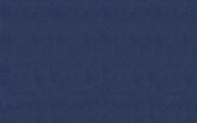 Papier peint intissé BYRON coloris bleu marine