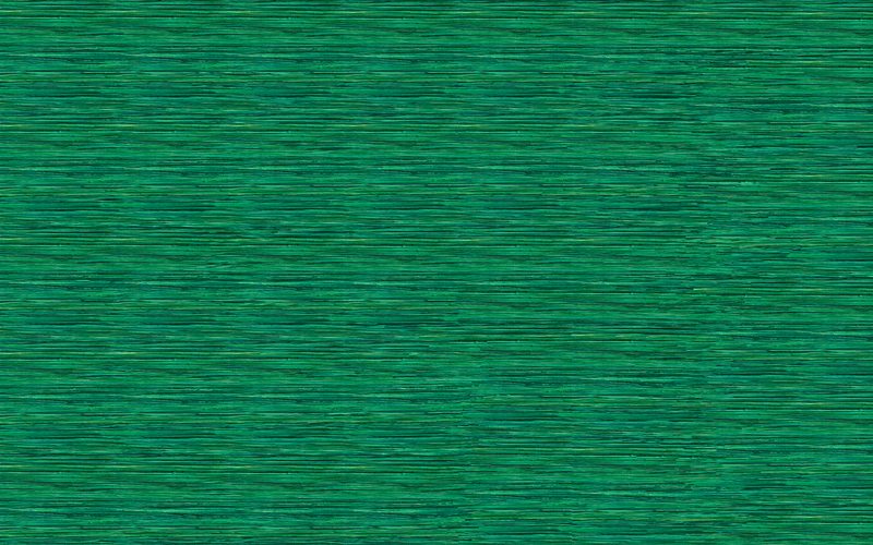Papier peint intissé TAWANA coloris vert émeraude