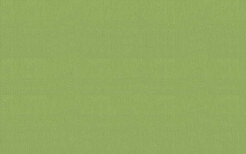 Papier peint intissé CALICO coloris vert bambou