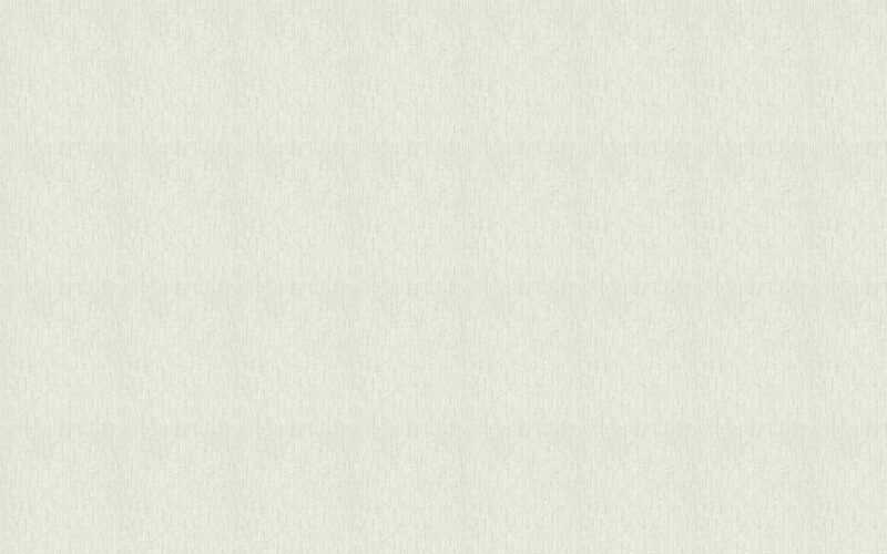 Papier peint intissé MARVIN coloris gris perle