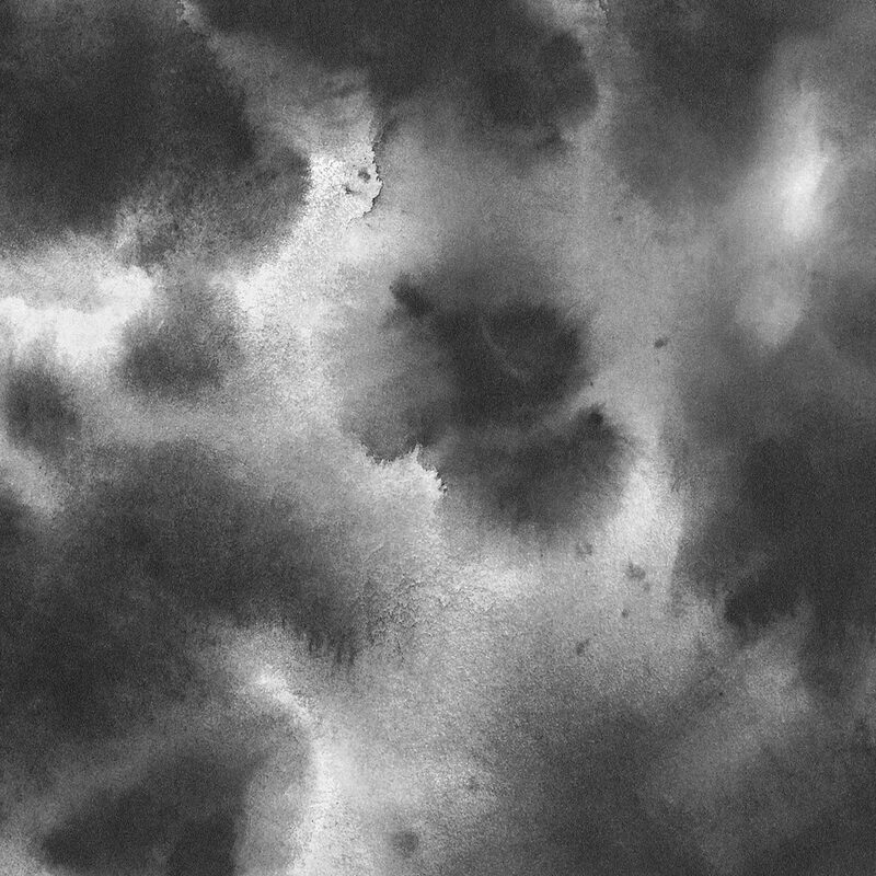 Papier peint intissé DARK SHADOW coloris noir