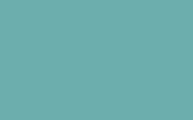 Peinture Multi-supports SAPHYR Alkyde céladon Satiné 2,5 L