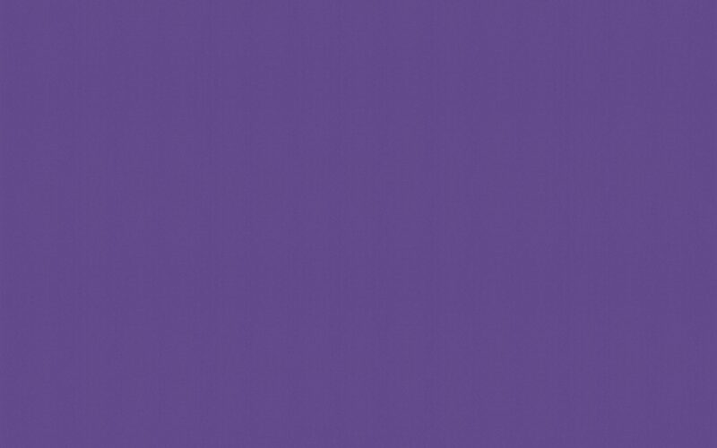 Papier peint intissé NEW INFINITY coloris améthyste