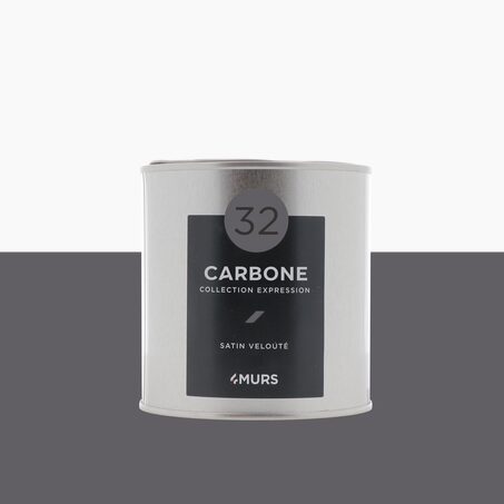Expression Peinture Finition Peinture carbone Satiné 0,5 L