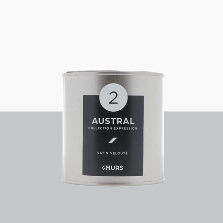 Expression Peinture Finition Peinture austral Satiné 0,5 L