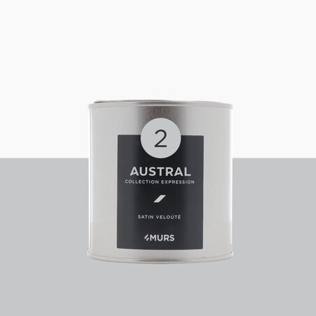 Peinture Finition EXPRESSION austral Satiné 0,5 L