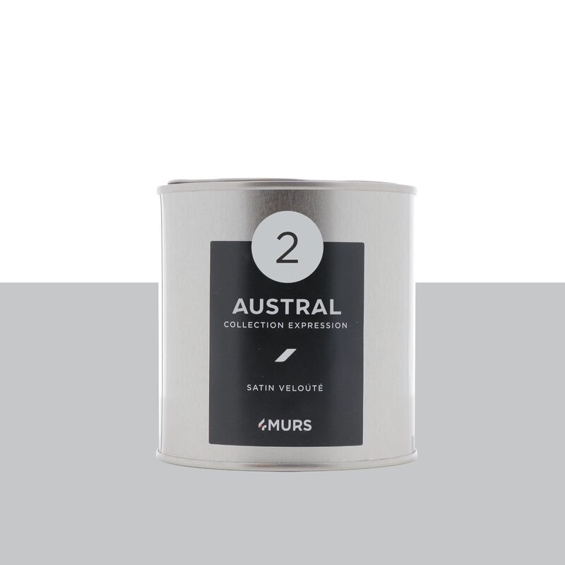 Peinture Finition EXPRESSION Acrylique austral Satiné 0,5 L